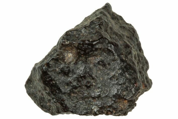 Abadla CM Chondrite Meteorite ( g) - Algeria #313053